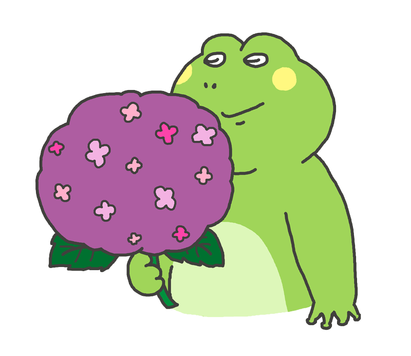 カエルと紫陽花のイラスト