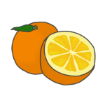 オレンジのイラスト
