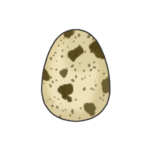うずらの卵のイラスト