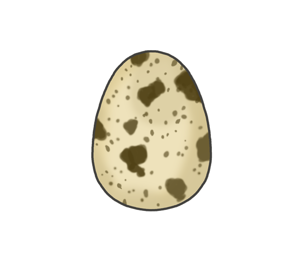 うずらの卵のイラスト