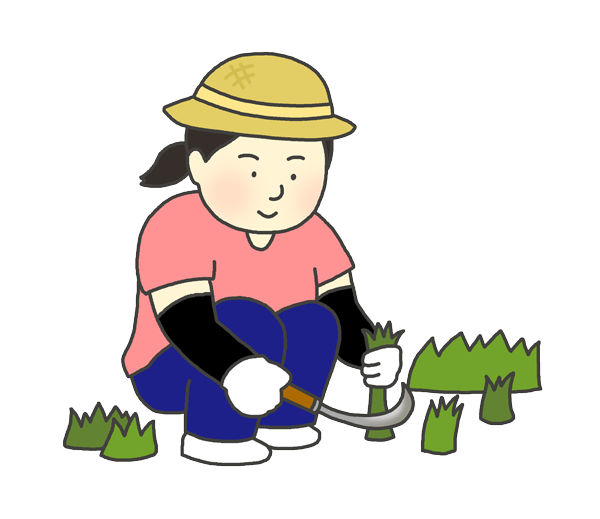 草むしりをする女性のイラスト