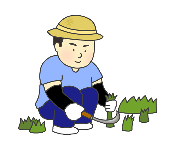 草むしりをする男性のイラスト