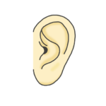 耳のイラスト